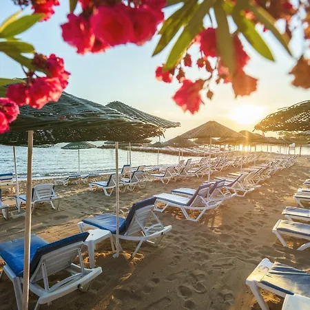 Sun Maritim 3*