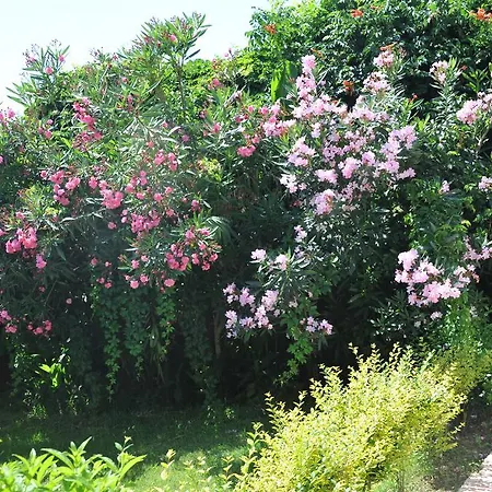 ホテル Sun Maritim